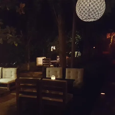 Homestay Los Konak