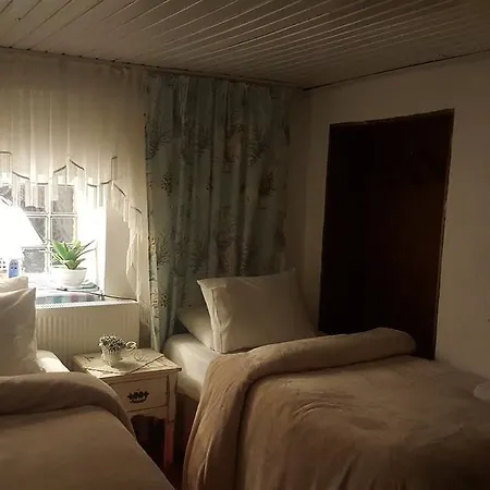 Homestay Los Konak