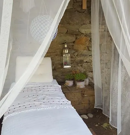Homestay Los Konak